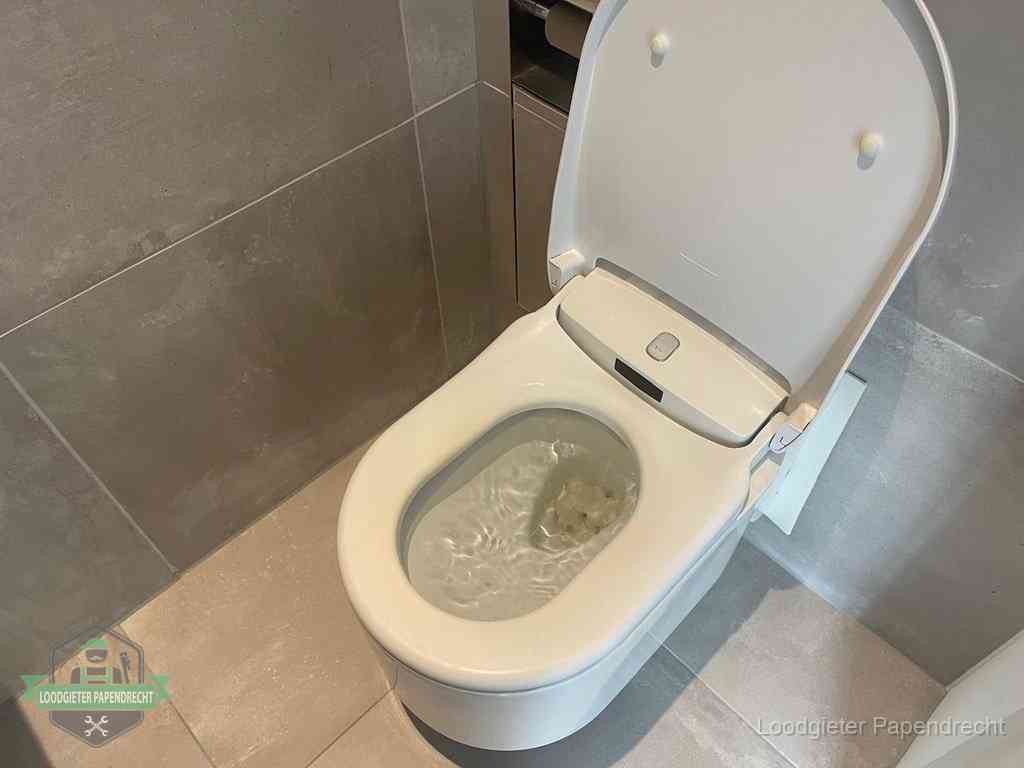 WC verstopt in Papendrecht WC verstopt in Papendrecht